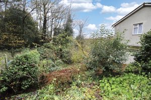 Garden- click for photo gallery